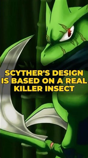 Scyther's Design Is Based on a Real Killer Insect