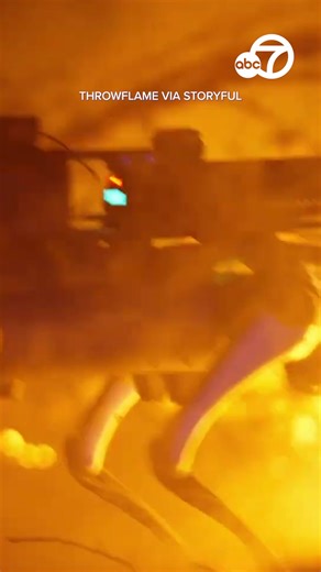 It's like something out of the movie "The Terminator." 😳 An Ohio-based company is now selling a flame-throwing robot dog in the U.S. The "Thermonator" is selling for $9,420. https://abc7ne.ws/2Lu50ZT | ABC7 News
