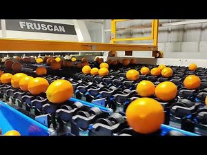 Automatic Fruit Sorting and Grading Machine