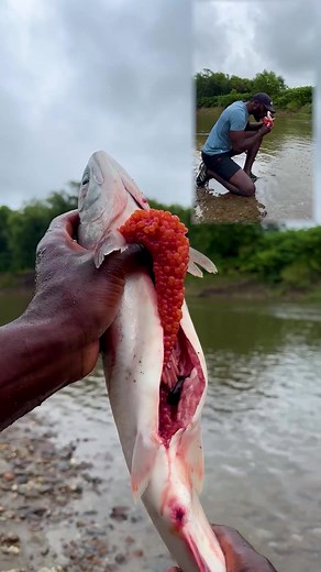 Exploring the Ancient Art of Spearfishing with Nivkh Tribes | Outdoor Adventure