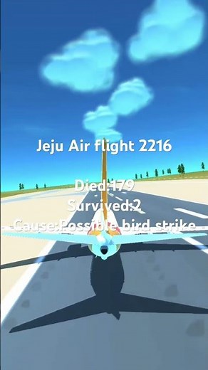 Jeju Air flight 2216 crash animation