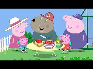 Peppa Spends Time with Grandpa Pig  @Peppa Pig - Official Channel - Videos For Kids