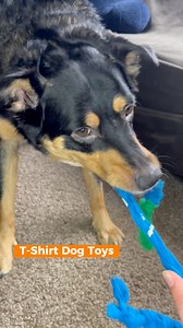 Make your furry friend a fun dog toy! These ropes are easy to make, inexpensive, and very strong 👕 #pet #dog #dogs #DIYDogToy #DogToy | ASPCA Pet Health Insurance