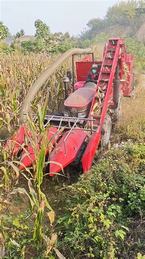 117K views · 963 reactions | Modern farming in action—every harvest tells a story  #farmwork #harvesttime #cornfield #modernfarming #tractorlife | Agriculture Tips | Facebook