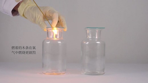 【化学】氧气和二氧化碳的比较