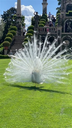 305K views · 3.9K reactions | Isola Bella, Lago Maggiore, Italy | Best Destinations To Travel | Facebook