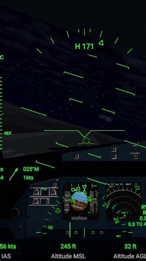 Night Landing in Pilot view in a SAS A320