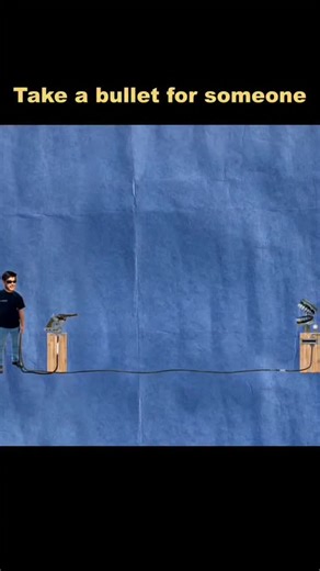 Mr L on Instagram: "Can you catch bullet with teeths,...? #science #biology #education #physics #technology #research #chemistry #space #engineering #nature #art #stem #astronomy #scientist #explore #mythbusting"