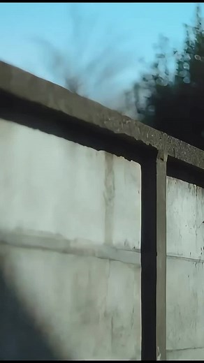 キヨ 有頂天 neko ft Eve - Nonsense Eye Utaite Song