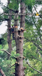 From sunup to sundown, our crew is out here making properties safer, cleaner, and looking their best. 🌳✨ Tree work isn’t easy, but it’s what we do with precision, safety, and pride in every job.👉 Whether it’s a dangerous removal, a careful prune, or storm cleanup, our team doesn’t quit until the job’s done right. #TreeService #HardWorkPaysOff #TheGrindNeverStops | Roberts' Tree Experts, LLC.