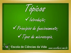 Tipos de microscópio: as diferenças entre o óptico e o eletrônico