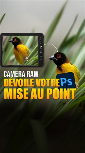 🎯 Did you nail the focus? Camera Raw can now show you!