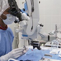 Investigating NSC Response to Spinal Cord Inj - JoVE Journal