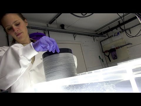 Successful seaweed farming with SAMS