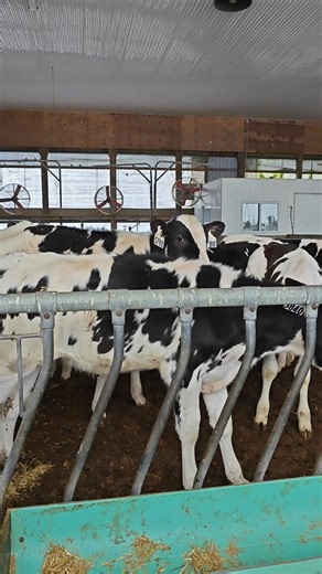 Génbank-Semex Magyarország Kft. on Reels | Facebook