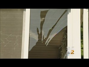 Police: 19-Year-Old On Bad LSD Trip Tased 3 Times After Punching Windows, Cop