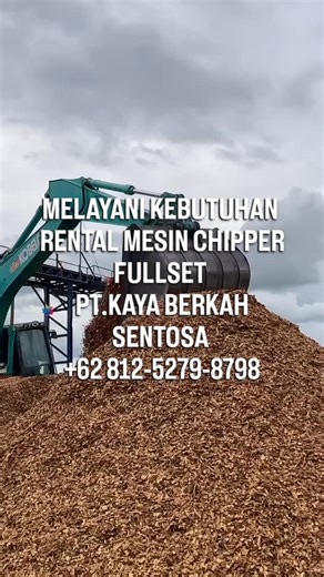 MELAYANI KEBUTUHAN RENTAL MESIN CHIPPER FULLSET PT.KAYA BERKAH SENTOSA 62 812-5279-8798 #semuaorang #kayupinus #kayuakasia #mesinchipper #woodchip #pltu #biomass | Cahya Nalendra