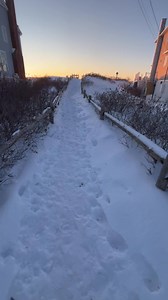 85K views · 3.9K reactions | A sunrise walk to the beach #Maine #beach #vitaminsea | Eric Storm Photo | Facebook