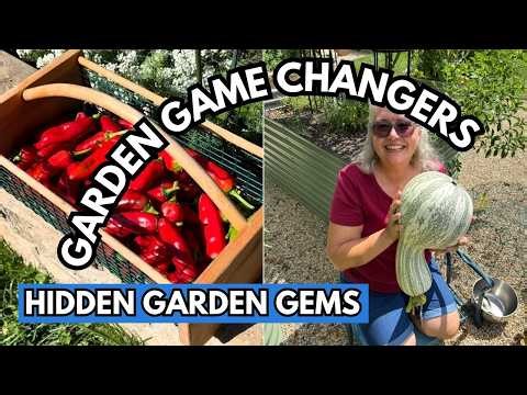 How to Grow Anaheim Peppers & Green Striped Cushaw Squash Plant of the Month -Episode 78