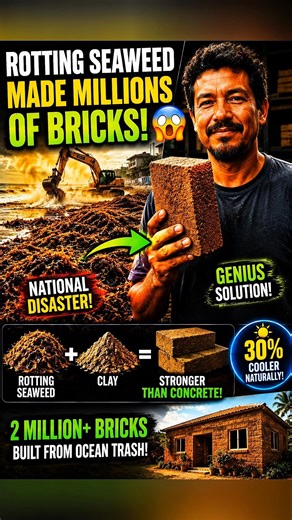 This Man Turned Ocean Waste Into Stronger-Than-Concrete Bricks