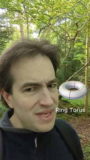 Did You Guess It Right? It’s a Ring Torus! 🍩
