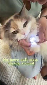 2 in 1 Electric Pet Nail Trimmer ⚡🐾 | Quiet & Safe Nail Grinder for Dogs & Cats