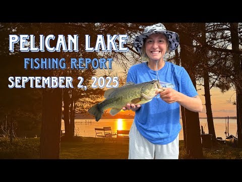 Early September Fishing Report for Pelican Lake in Orr, MN