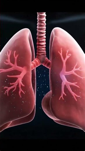 Shortness of Breath Explained: How Lungs, Nose, and Airflow Work"