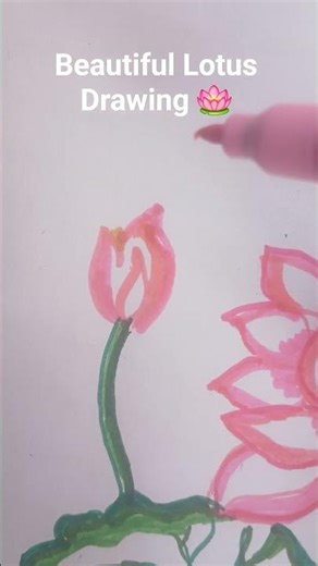 Beautiful Lotus Drawing 🌸 | Easy Nature Art