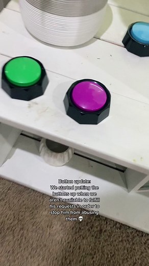 Button Update: Managing User Requests Effectively