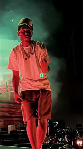 Fans throw CRAZY stuffs on stage 😳 (Billie Eilish, Tyler The Creator, Eminem)