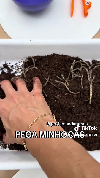 Desenvolvendo a Praxia Fina com Atividades Lúdicas