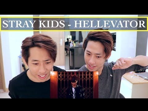 STRAY KIDS "HELLEVATOR" MV REACTION 스트레이 키즈