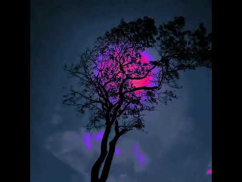 The Cinematic Orchestra - Arrival of The Birds & Transformation | (1 Hour Loop)