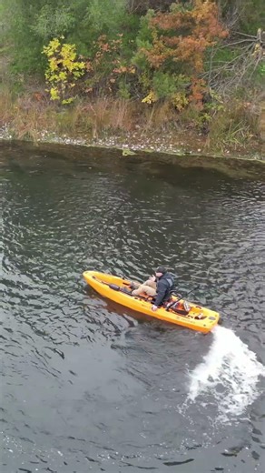 Does an Electric Kayak Scare Fish