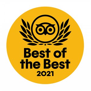 1.4K views · 42 reactions | Half Shell Oyster House Gulfport has been...