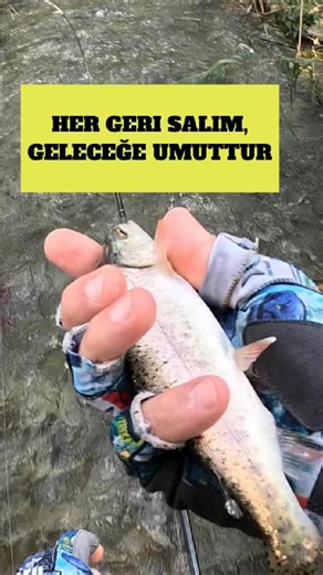 M.Efe Kalem on Instagram: "Her geri salım, geleceğe umuttur. ✋🏻😊 . Avda kullandığım ekipmanlar 👇🏻 Makina/ Shimano Stella 1000 Sspg Kamış / Shimano Bassterra Xt + 2.44 cm 3-15 gr Sahte / Mepps Aglia Brown No:2 . #balıkavı #balık #shimanoturkiye #shimanofishing #trout"