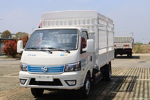 [Hot Item] 4X4/4X2 Diesel Mini Light Cargo Truck Van