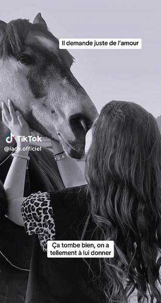 Jamais trop d’amour pour Iaco 🩵💙❤️ #animaux #cheval #pony #love #lui