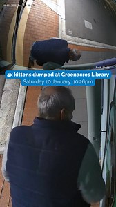 🚨 RSPCA South Australia is calling on the community to help identify the individual who left four six‑week‑old kittens in the after‑hours book return chute at Greenacres Library. 🚨 CCTV footage shows an older man wearing a navy vest placing the kittens into the chute at 10:26pm on Saturday 10 January. A staff member discovered the kittens on Monday 12 January, prompting an RSPCA response to what has sadly become the third incident of kittens being dumped in the same chute. Fortunately, all kit