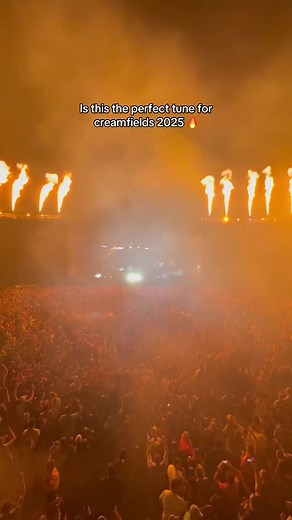 This song is gunna boooot off for festival szn 🤩 #creamfields #newmusic #fyp #summer #festival