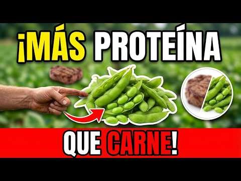 10 Alimentos Vegetales Que Tienen MÁS Proteína Que La Carne