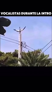 12K views · 6.1K reactions | Etiqueta a tu cantante favorito Canción: Hang Me From The Bible Belt’ #metal #concert #livemusic #metalhead #metalmusic #metalcore #headbanger #metalband #Meme #metalmeme | Metalovision | Facebook