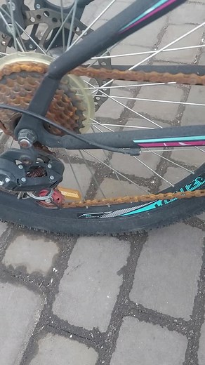 Bicycle Maintenance: Lubricating Chain and Derailleur