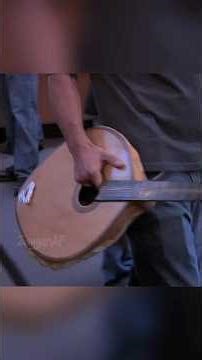 This Rare Turtle Shell Guitar Could Land You in Jail? Try Selling It to Pawn Stars