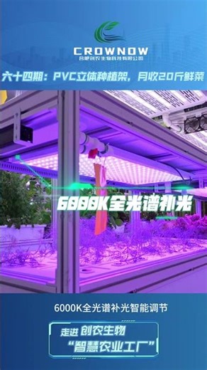 PVC Vertical Hydroponic Growing System