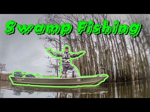 Swamp Fishing in My Jon Boat!