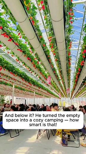 Smart strawberry growing model #backyardgardening #gardeninglife #vegetablegardening #vegetablegarden | Garden Soothing