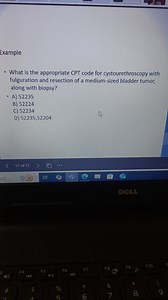 ExampleWhat is the appropriate CPT code for cystourethroscopy ... | Filo