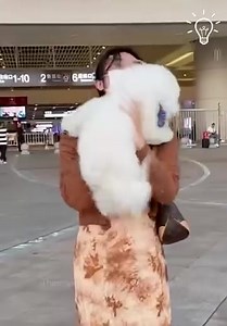 Adorable moments when dogs reunite with their owners 🥰 📢 | Bingo Home